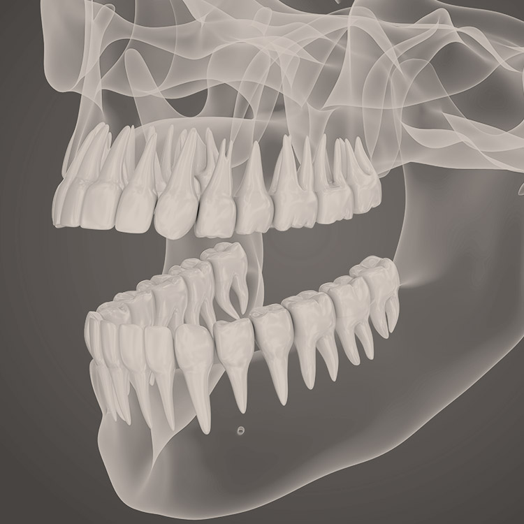 © Alexandr Mitiuc - Fotolia.com